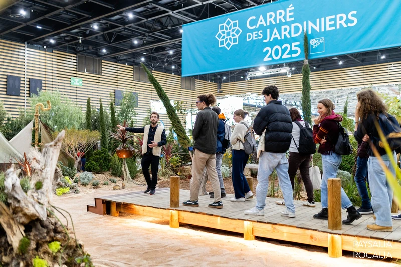 paysalia photos paysalia photos